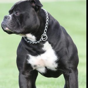 Meet your Posher, Cole